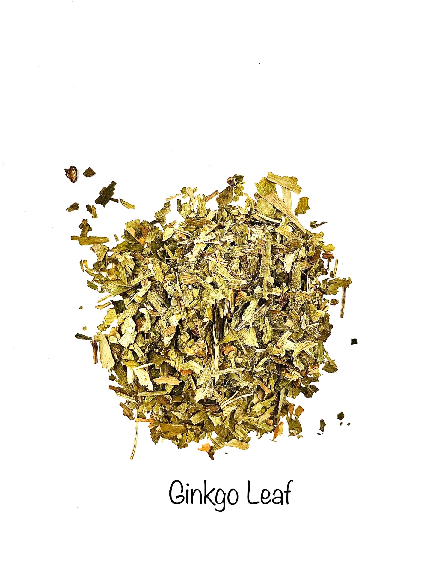 Ginkgo Leaf