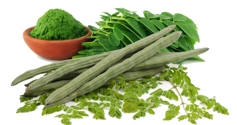 Moringa Leaf Powder