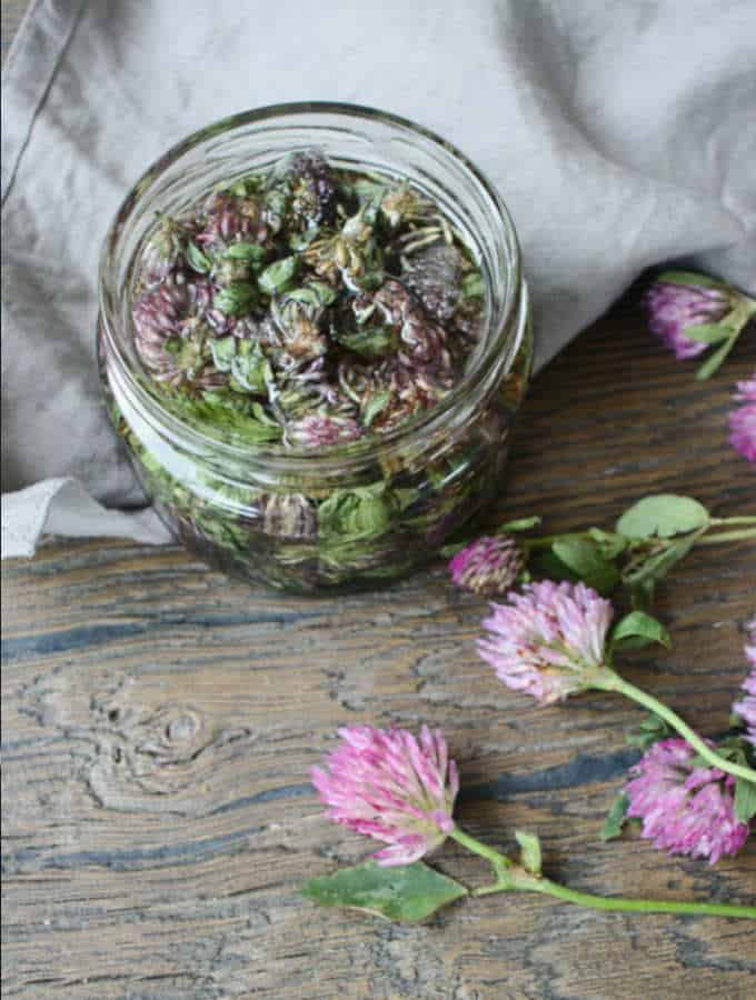 Red Clover Powder