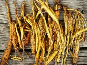 Yellowdock Root Powder